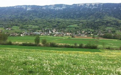 Anticiper son projet de construction